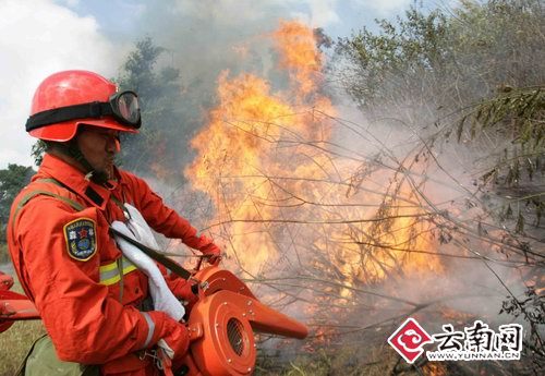 普洱森林武警开展两化训练