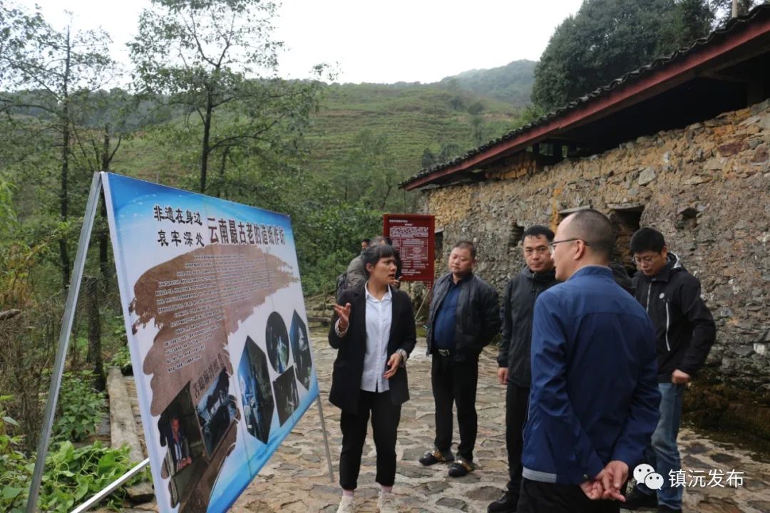 上海金山区吕巷镇代表团考察帮扶镇沅和平镇
