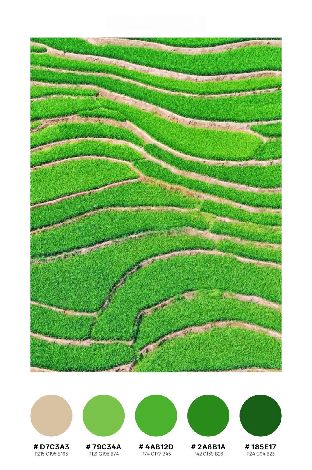 2.jpg 2.jpg