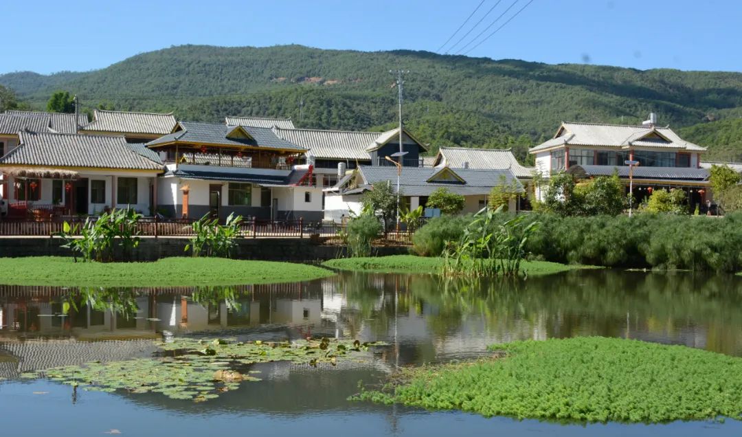 景谷永平镇小豆子鼓起群众钱袋子