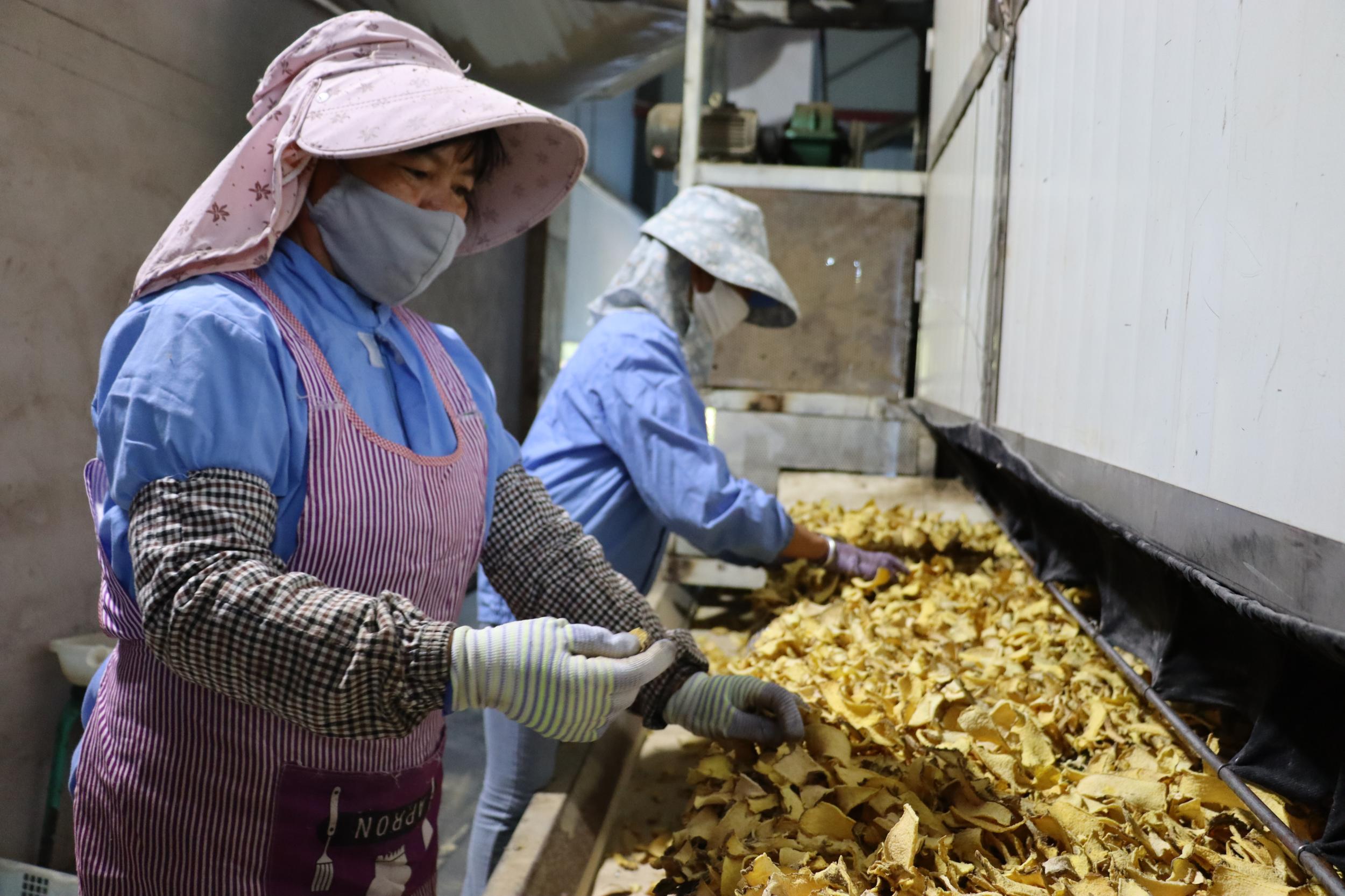 景谷县益智乡:工业赋能乡村振兴